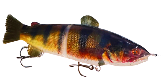 10 RF Glider – Real Fish Bait