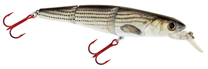 4.50" S-Defender Jerkbait Striper