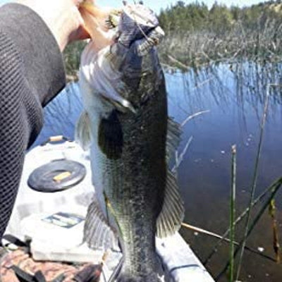 4.50" Gillman Gliders