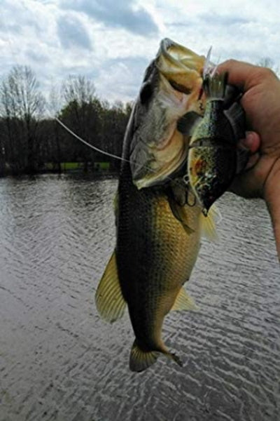 4.50" Gillman Gliders