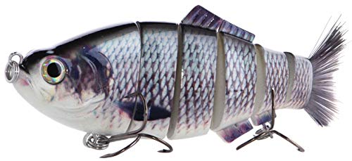 8" Spring Shad Swimbait Gizzard Shad