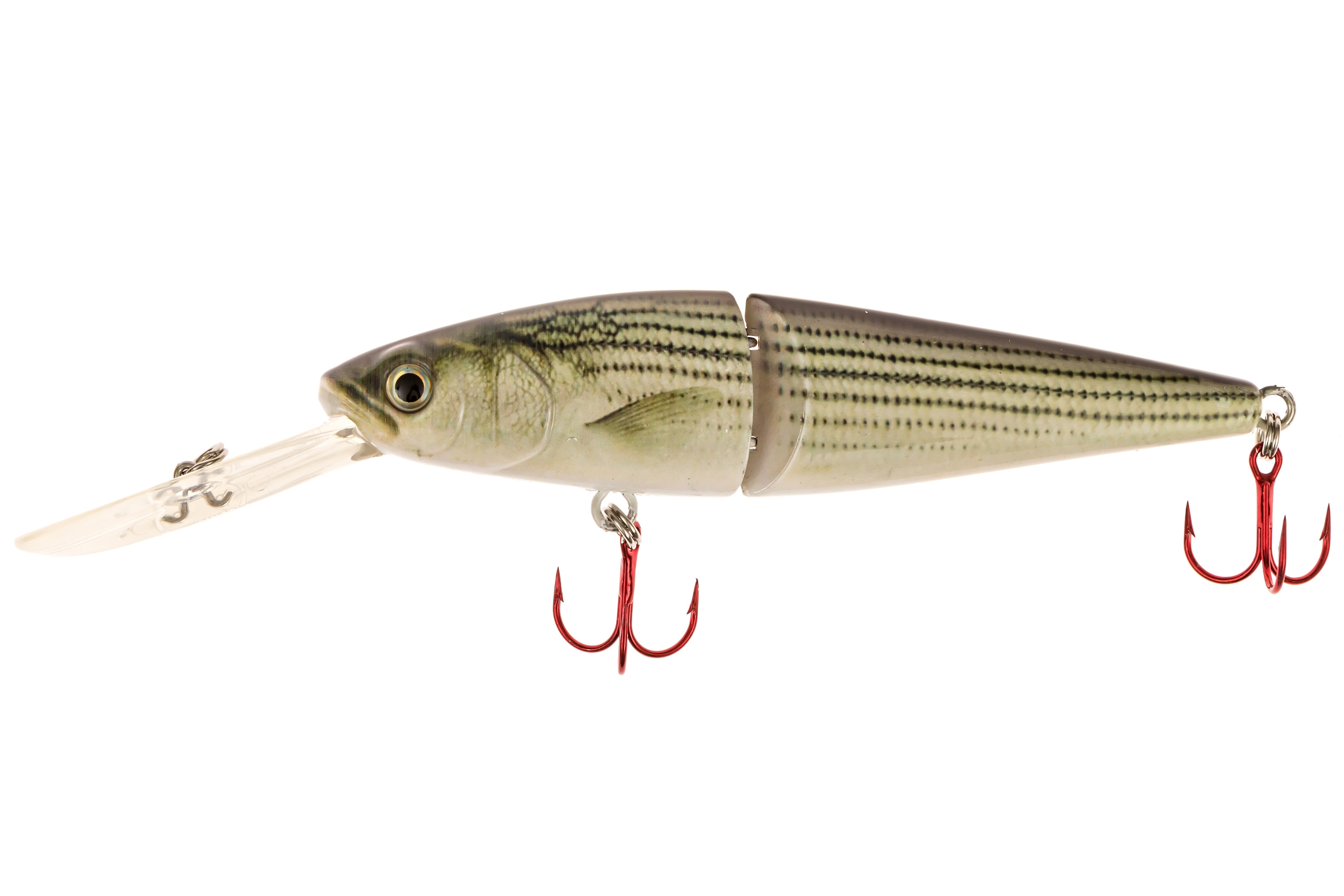 5.50" Jack The Ripper Jerkbait Striped Bass
