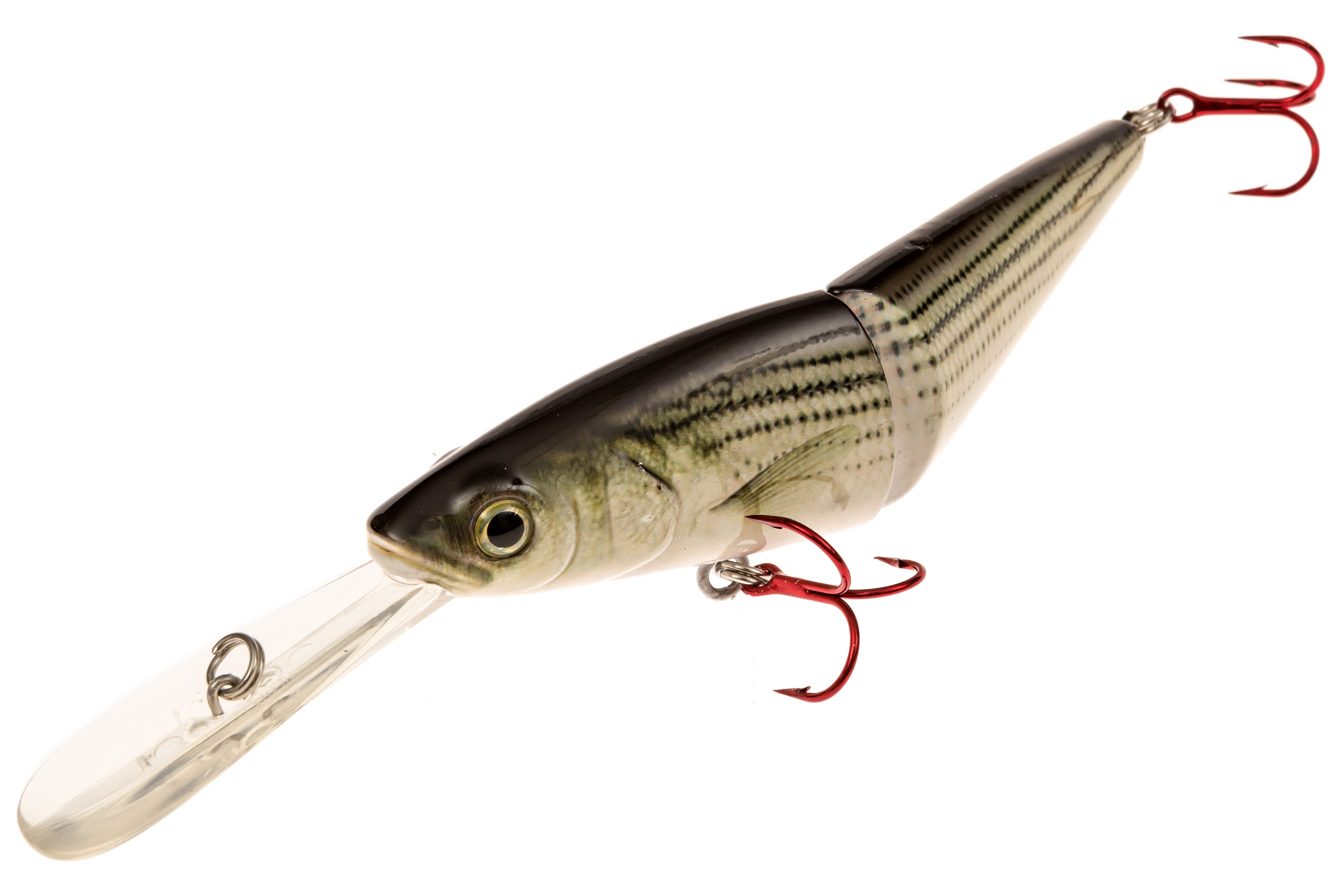 5.50" Jack The Ripper Jerkbait Striped Bass