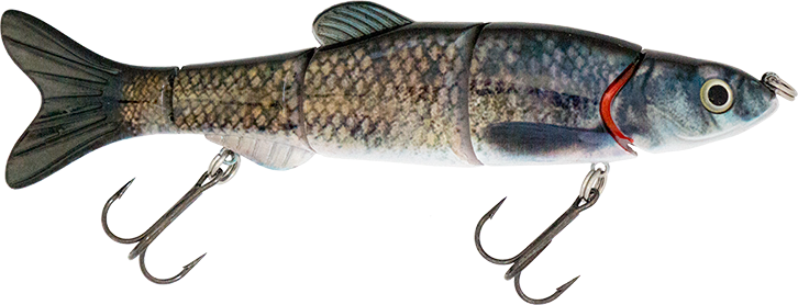 6.50" The Intruder Swimbait Clear Lake Hitch