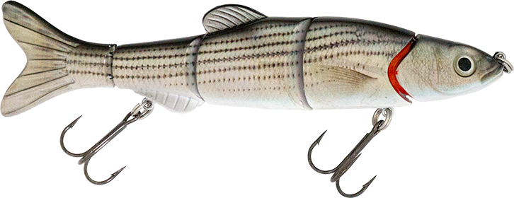 6.50" The Intruder Swimbait Striped Bass