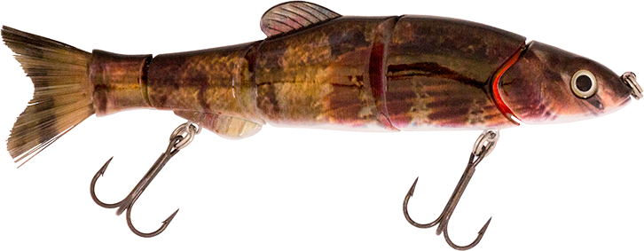 6.50" The Intruder Swimbait Mudsucker