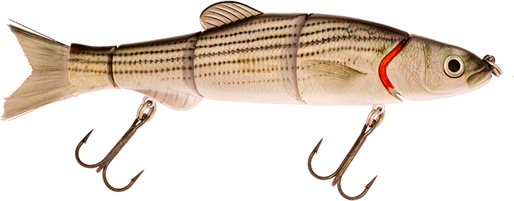 6.50" The Intruder Swimbait Striper