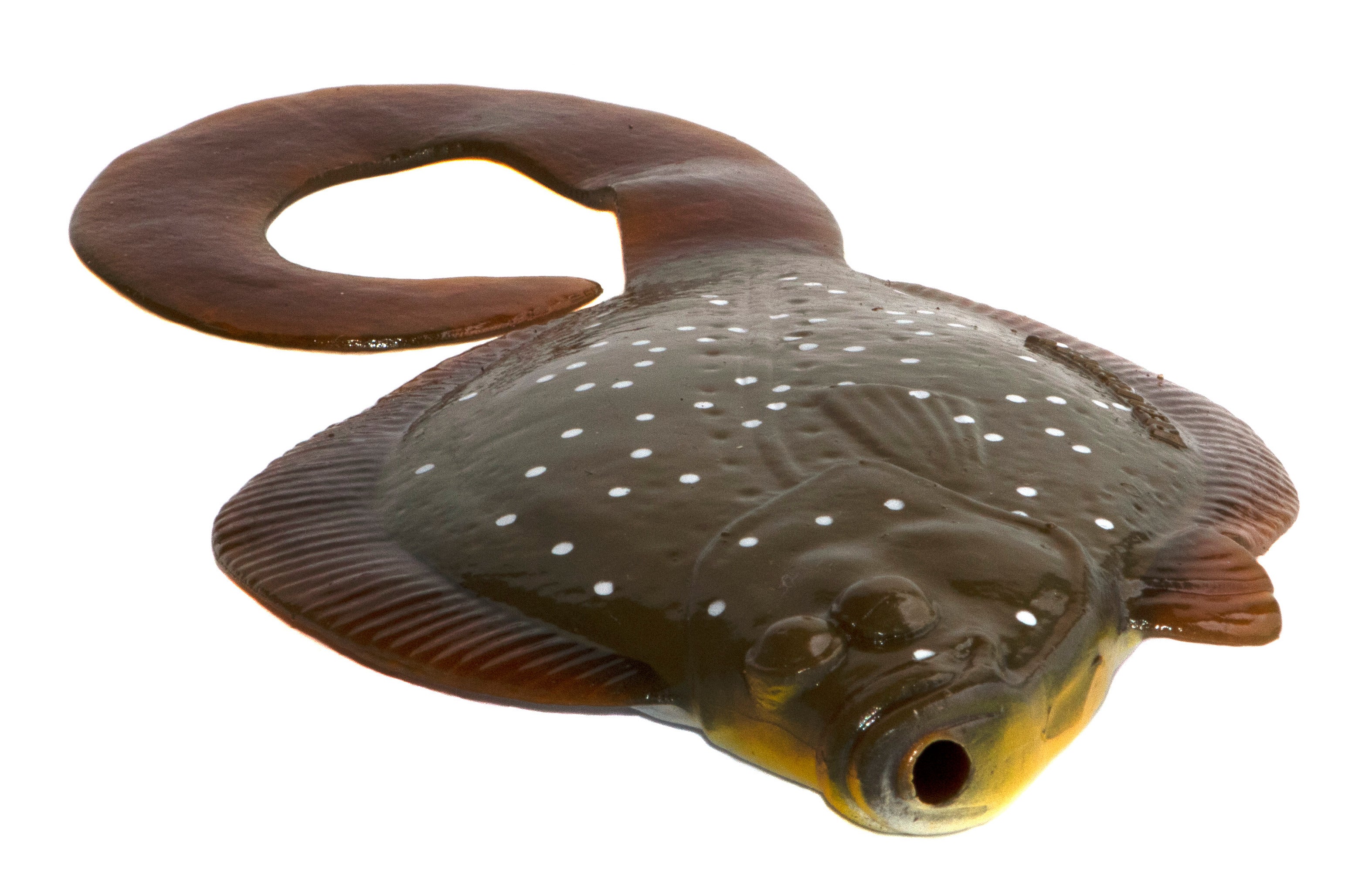 10" Sanddab Rig Sole