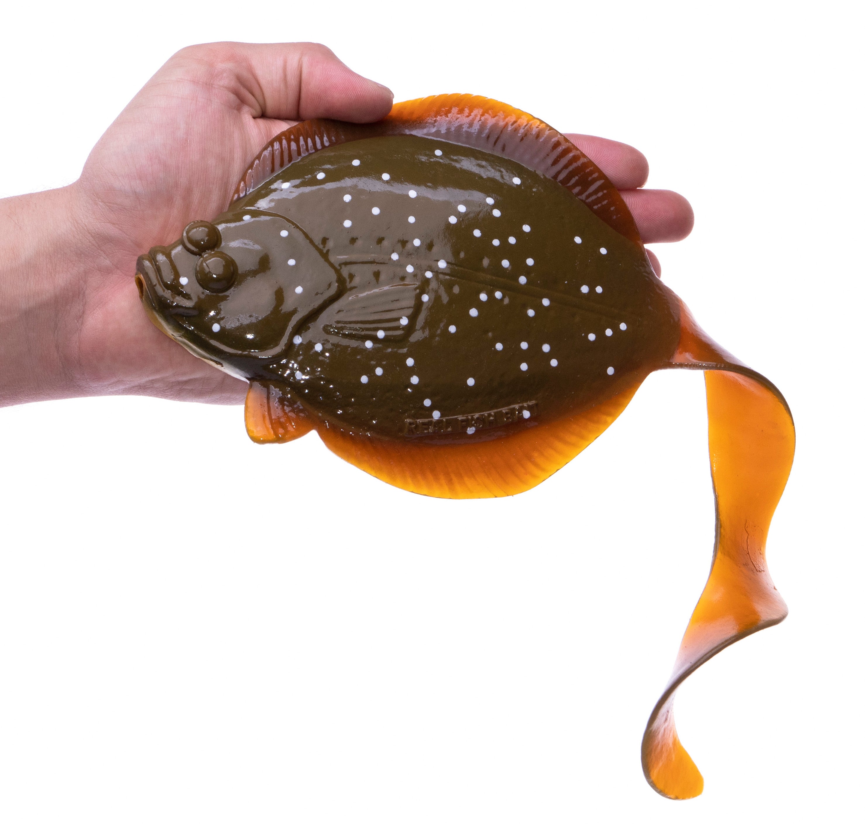 10" Sanddab Rig Sole