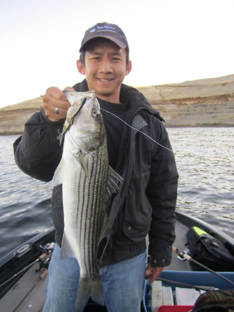 9" Summer Dancer Swimbait