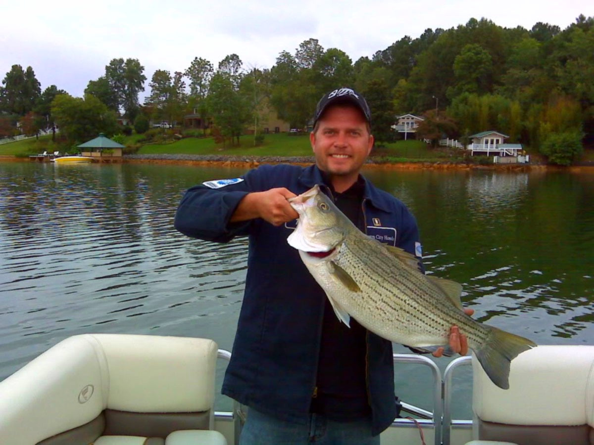 4.50" Gillman Gliders