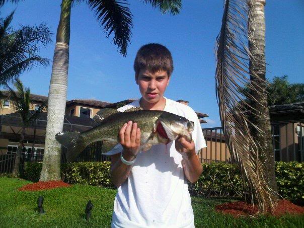 4" Spring Shad Swimbait