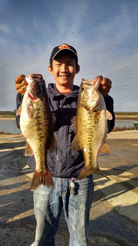 7" RF Glider Swimbait