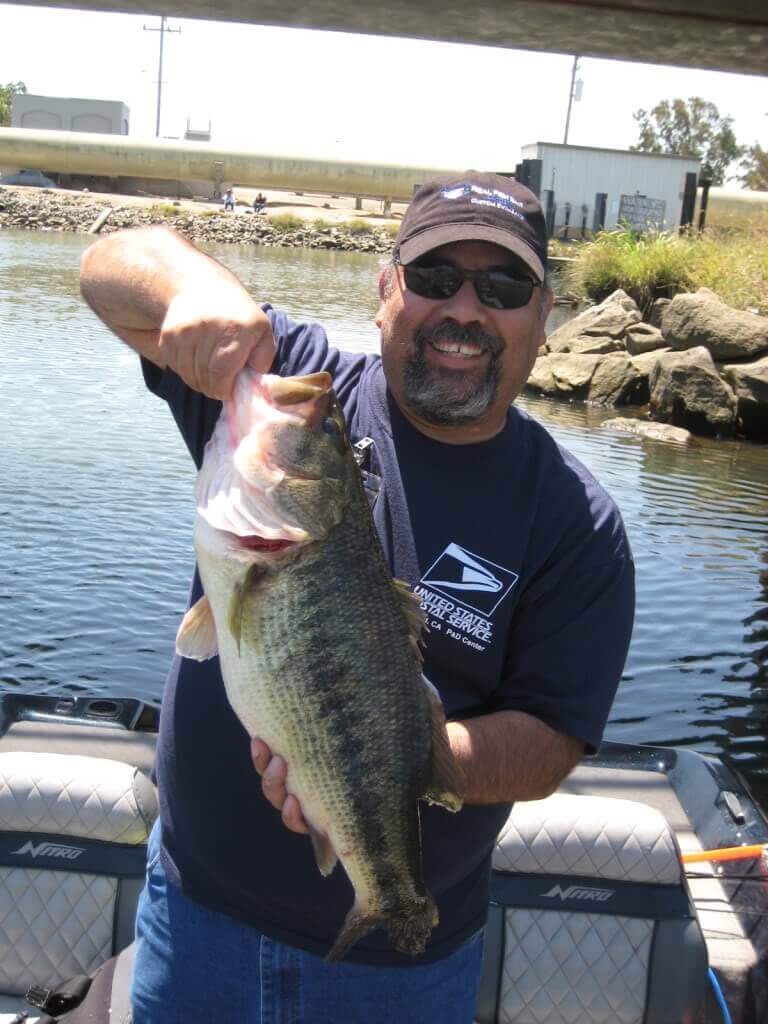 7" RF Glider Swimbait