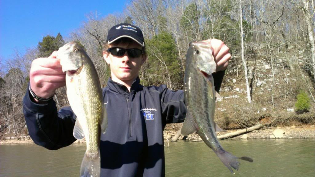 6" Summer Dancer Swimbait