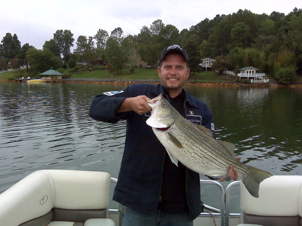 5.50" Jack The Ripper Jerkbait