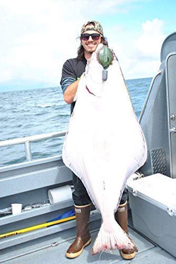 Sanddabs 4/pk Natural, PW, GP, & Sole