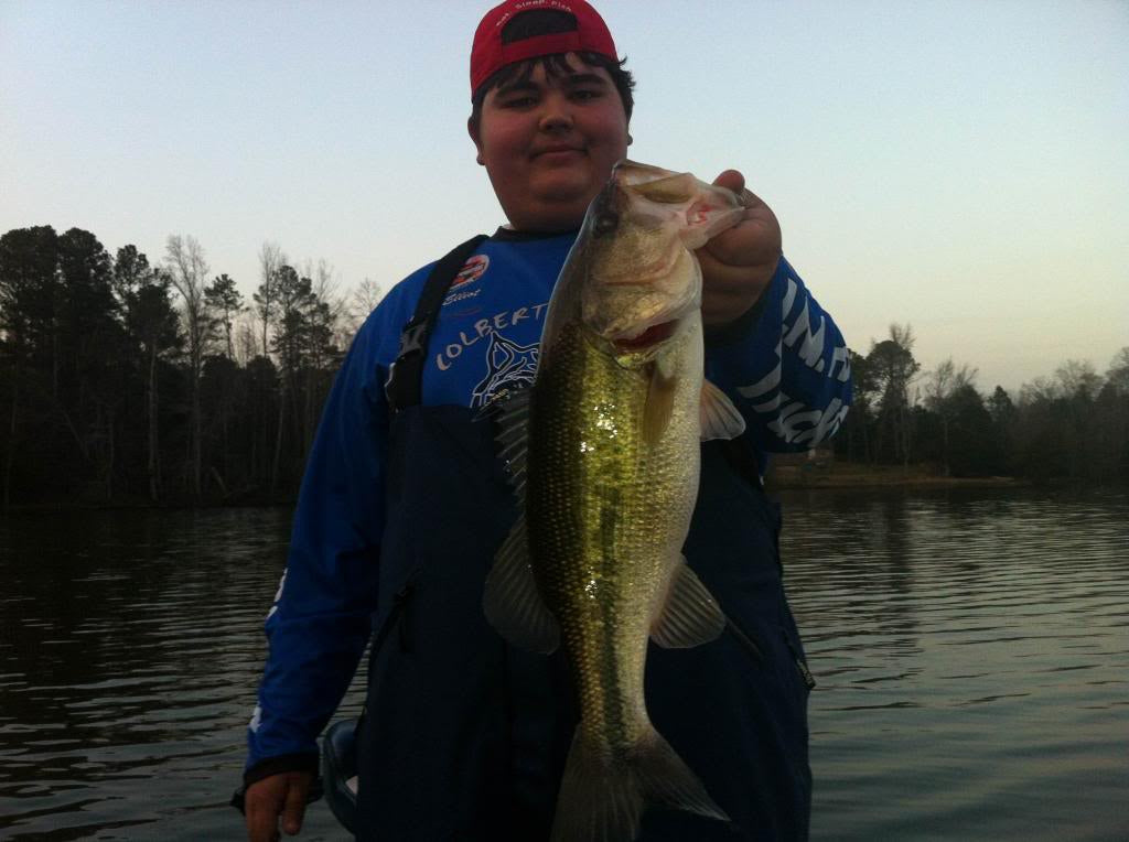 4" Spring Shad Swimbait