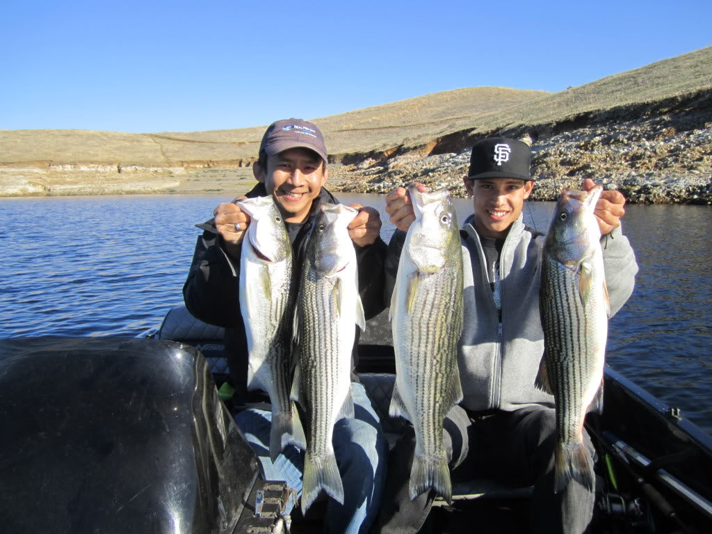 7" RF Glider Swimbait