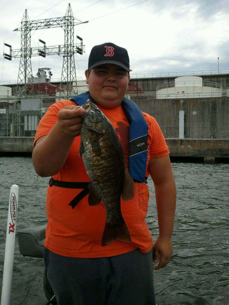 4.50" Summer Dancer Swimbait