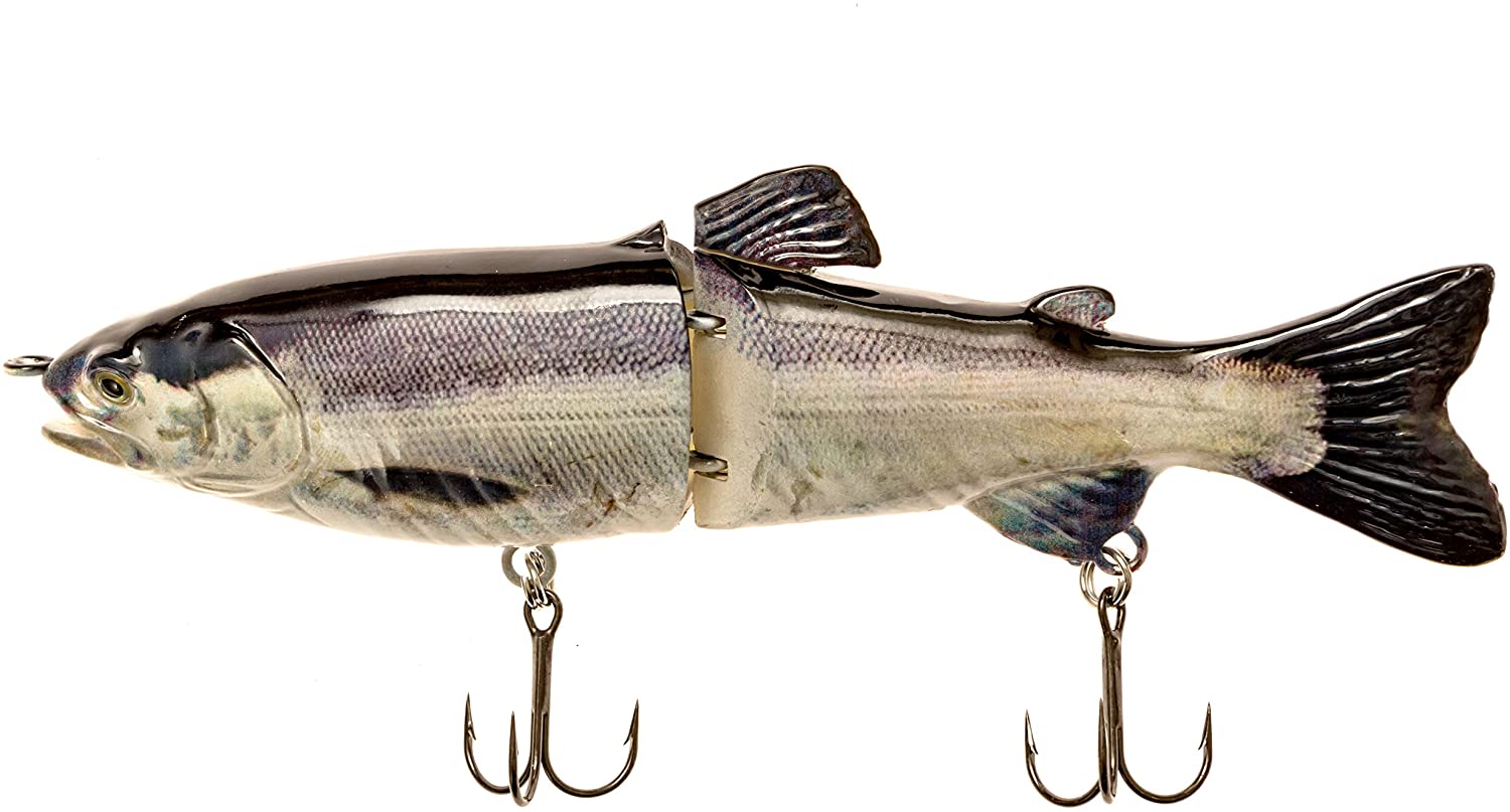 7 RF Glider Glide Bait Bass Fishing Lure Big Musky Striper Multi Jointed  Shad Trout Kits Slow Sinking (Dark Stock Trout INJ) : : Sports,  Fitness & Outdoors