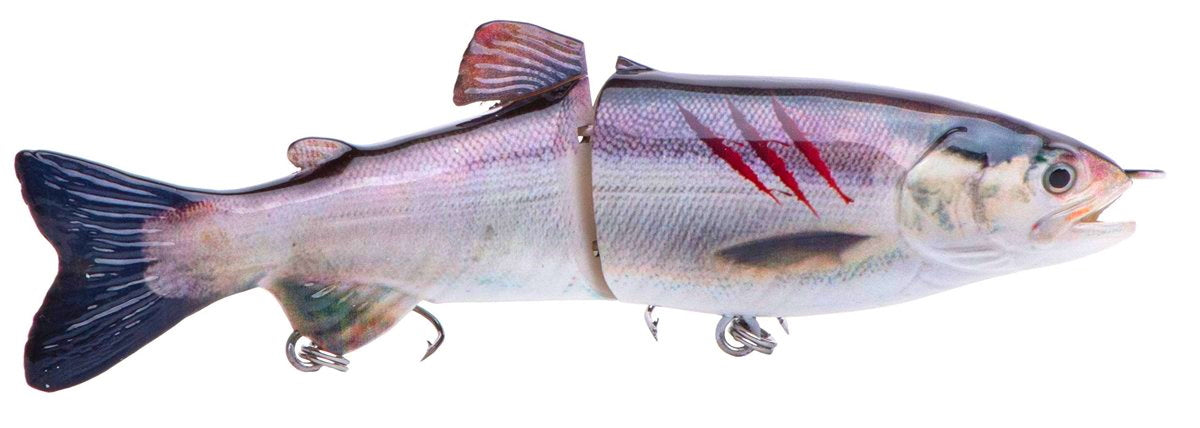 7" RF Glider Swimbait Kokanee Injured