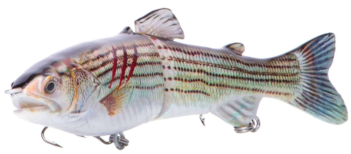7" RF Glider Swimbait Striper Injured