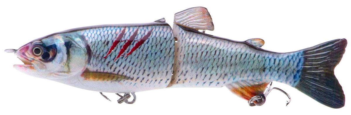 7" RF Glider Swimbait Silver Shiner Injured