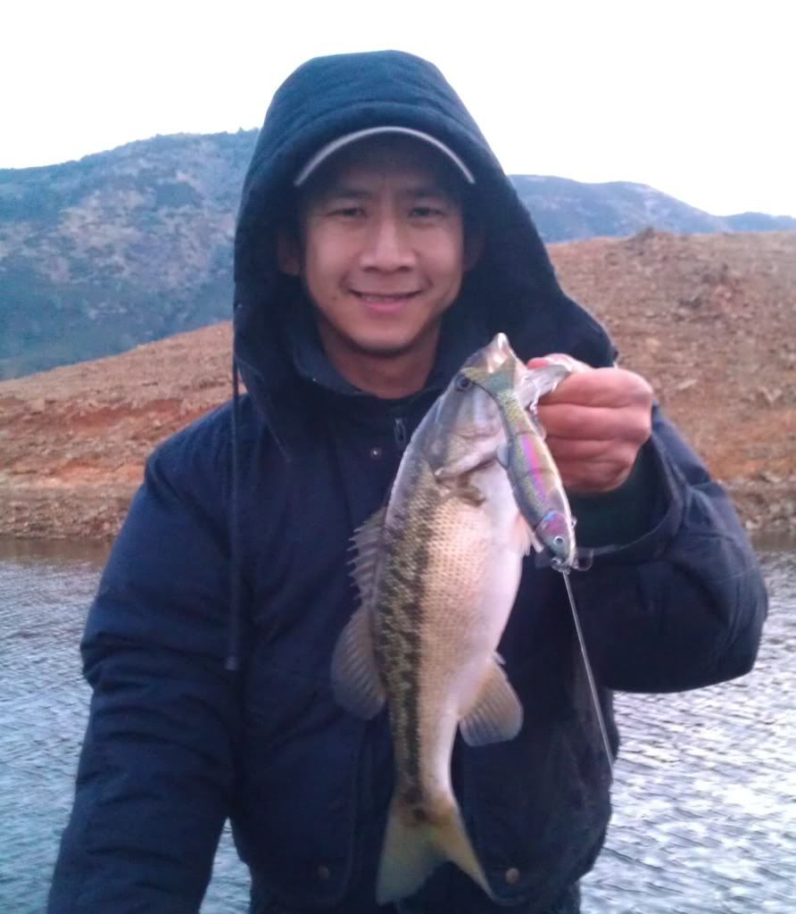 6.50" The Intruder Swimbait